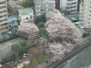PICT0013.JPG